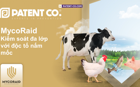 MYCORAID - A MULTILAYER MYCOTOXINS CONTROL